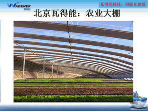 得能瓦 技術(shù)剖析與建筑應(yīng)用案例